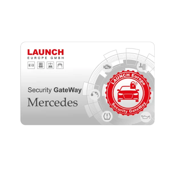 Licence Mercedes-Benz SGW - 12 mois